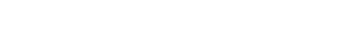 03T